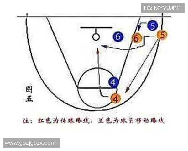篮球之道：从基础技巧到比赛战术全面解析与发展趋势探讨